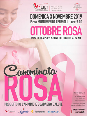 03 11 19 CamminataRosa